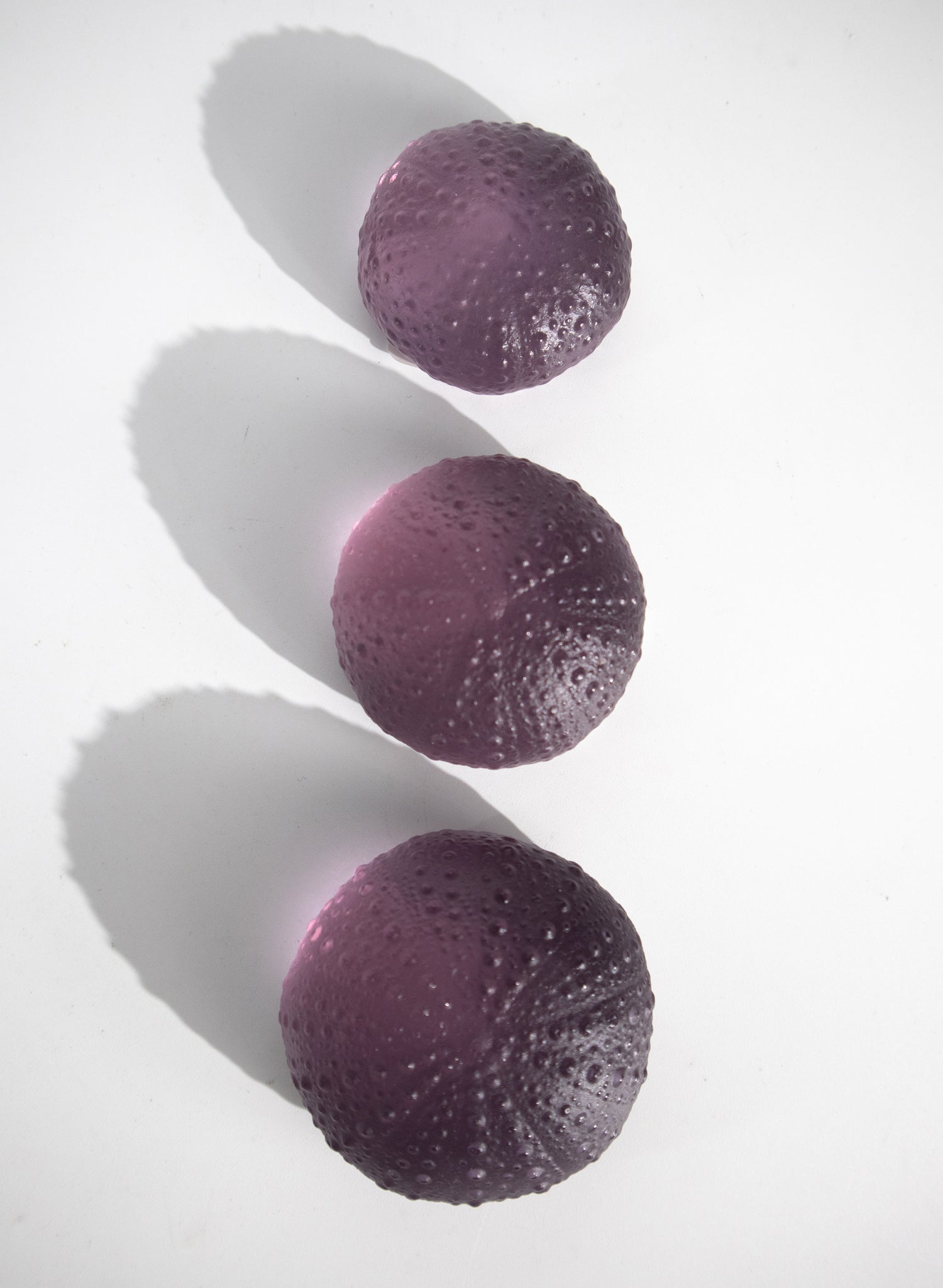 Small Sea Urchin - Purple