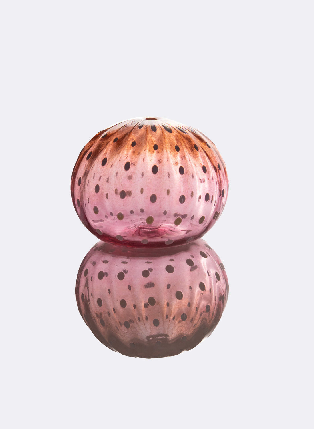 Sea Urchin - Pinks