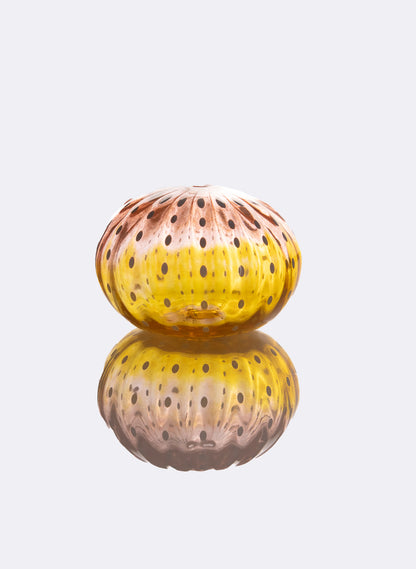 Sea Urchin - Yellow + Peach