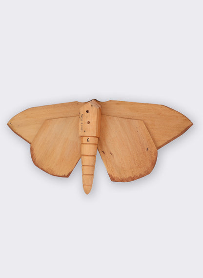 Wooden Moth - 6