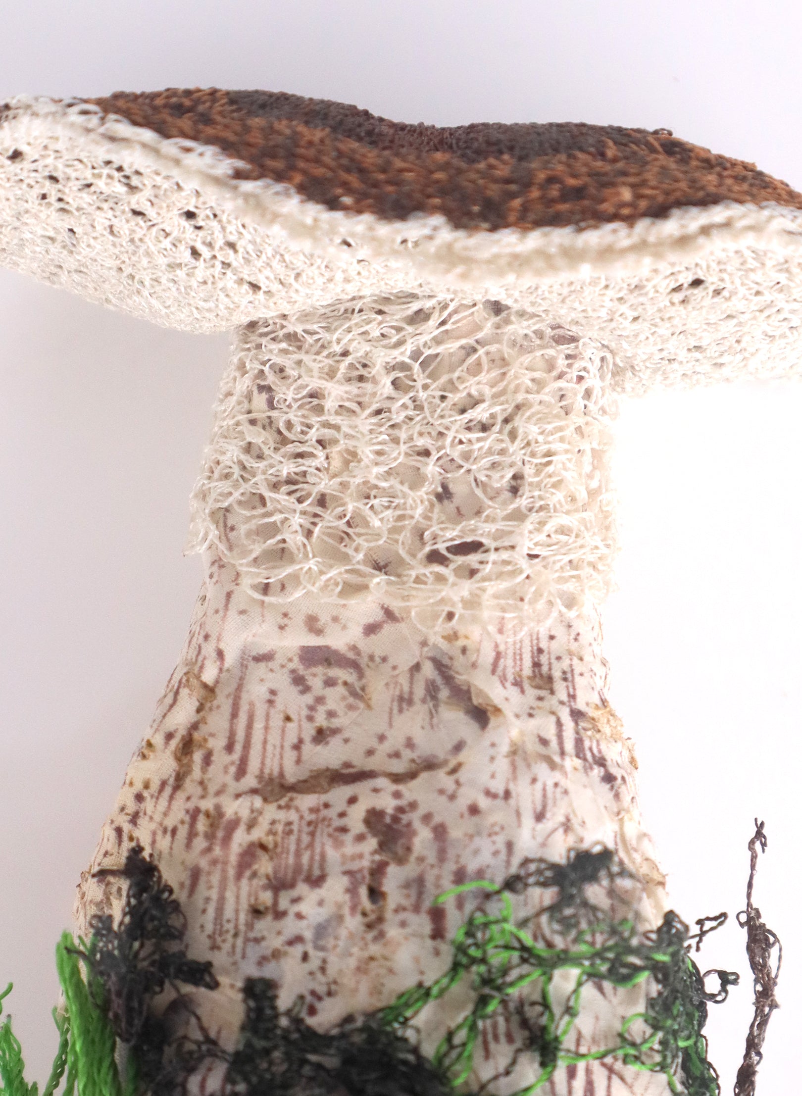 Birch Bolete Fungi 3D Embroidery