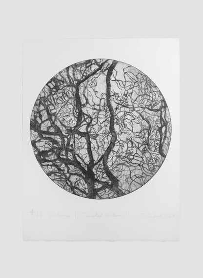 Antrorse 1 - Twisted Willow