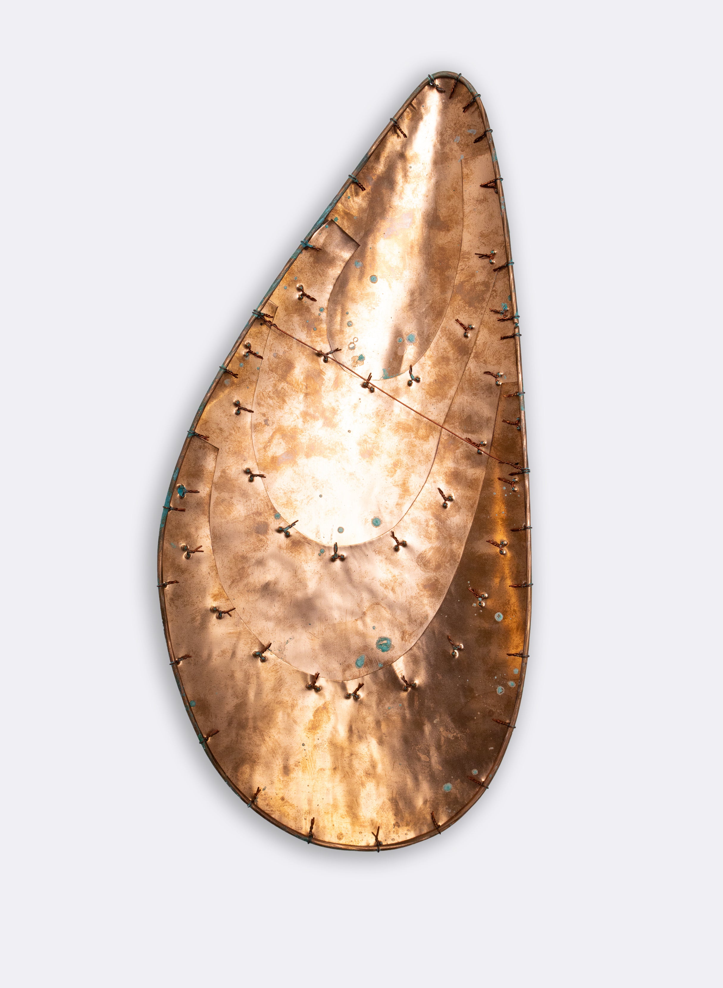 Pair Mussel Shell