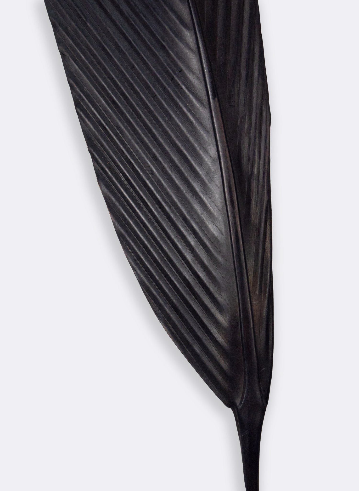 Tui Feather Copper 645mm