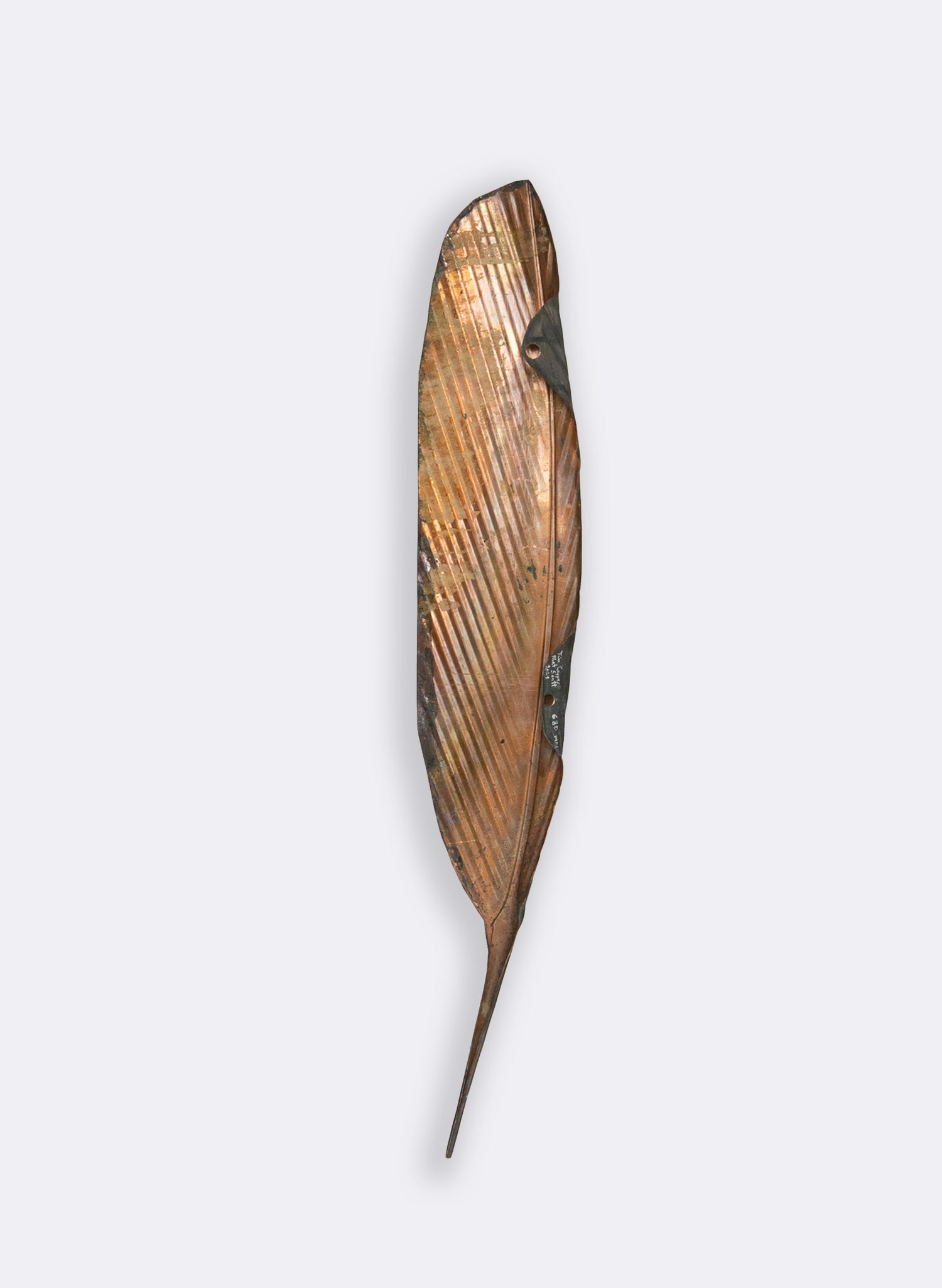 Tui Feather Copper 680mm