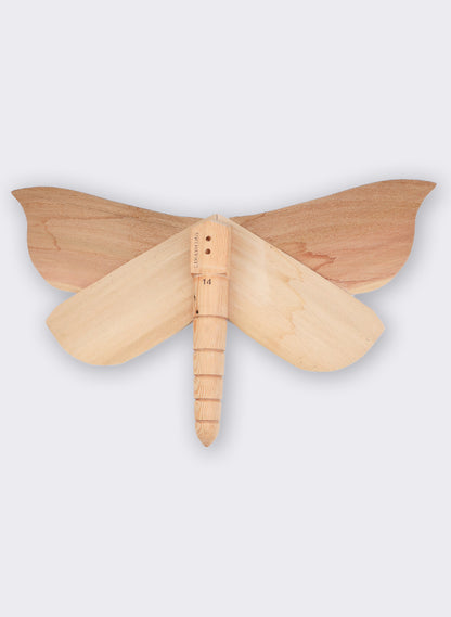 Wooden Moth - 14