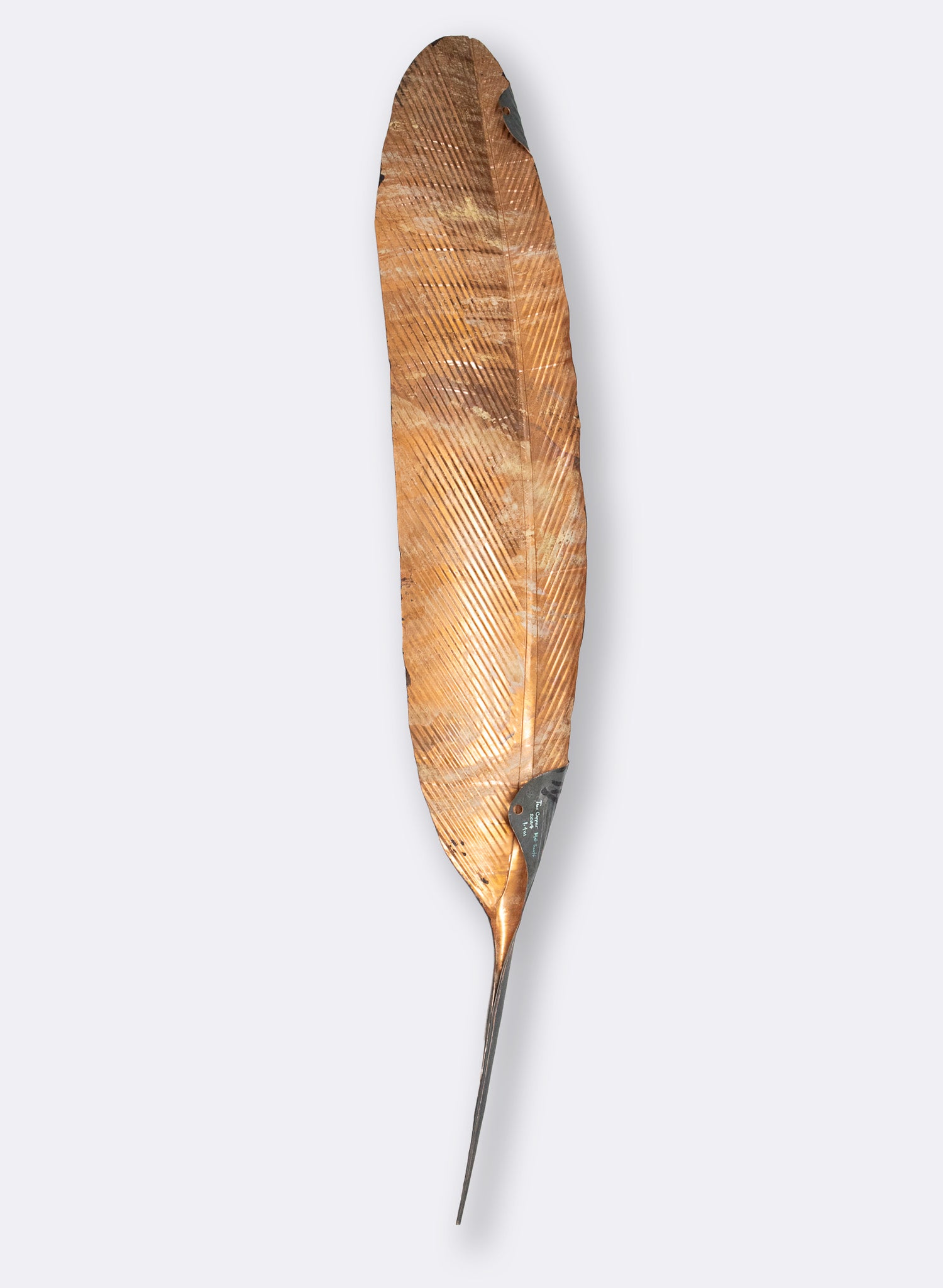 Tui Copper Feather 1410mm