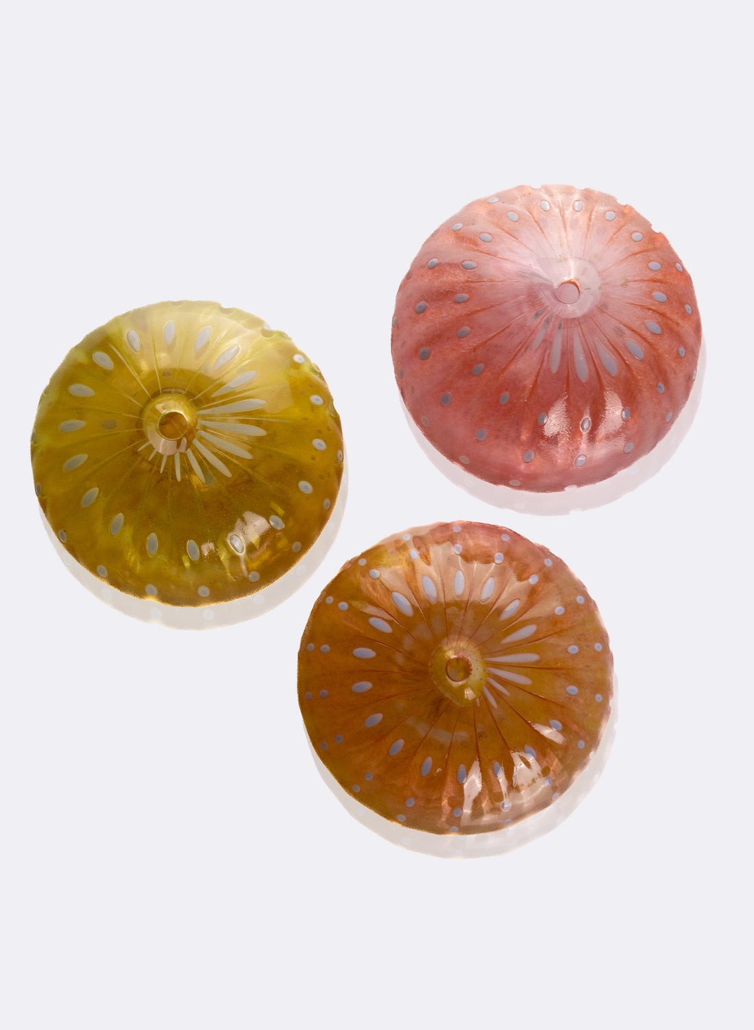 Sea Urchin - Yellow + Peach