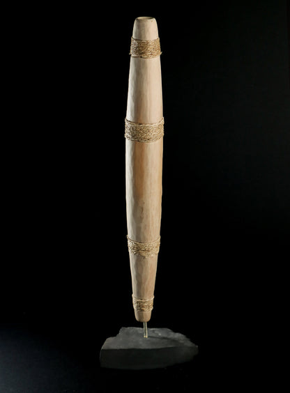 Small Pūtōrino