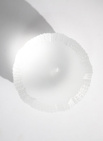 XLarge Sea Urchin - Clear