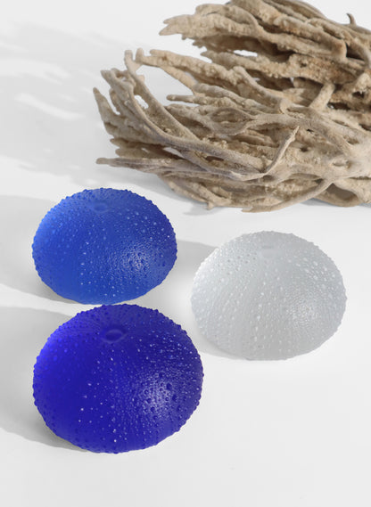 3XL Sea Urchin - Light Pale Cobalt