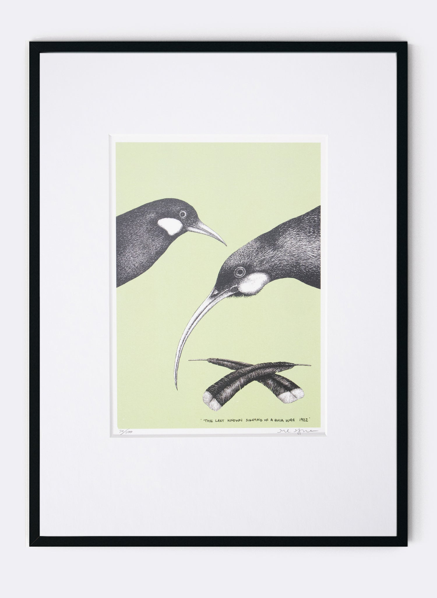 The Last Known Sighting of a Huia (Green) - Digital Print