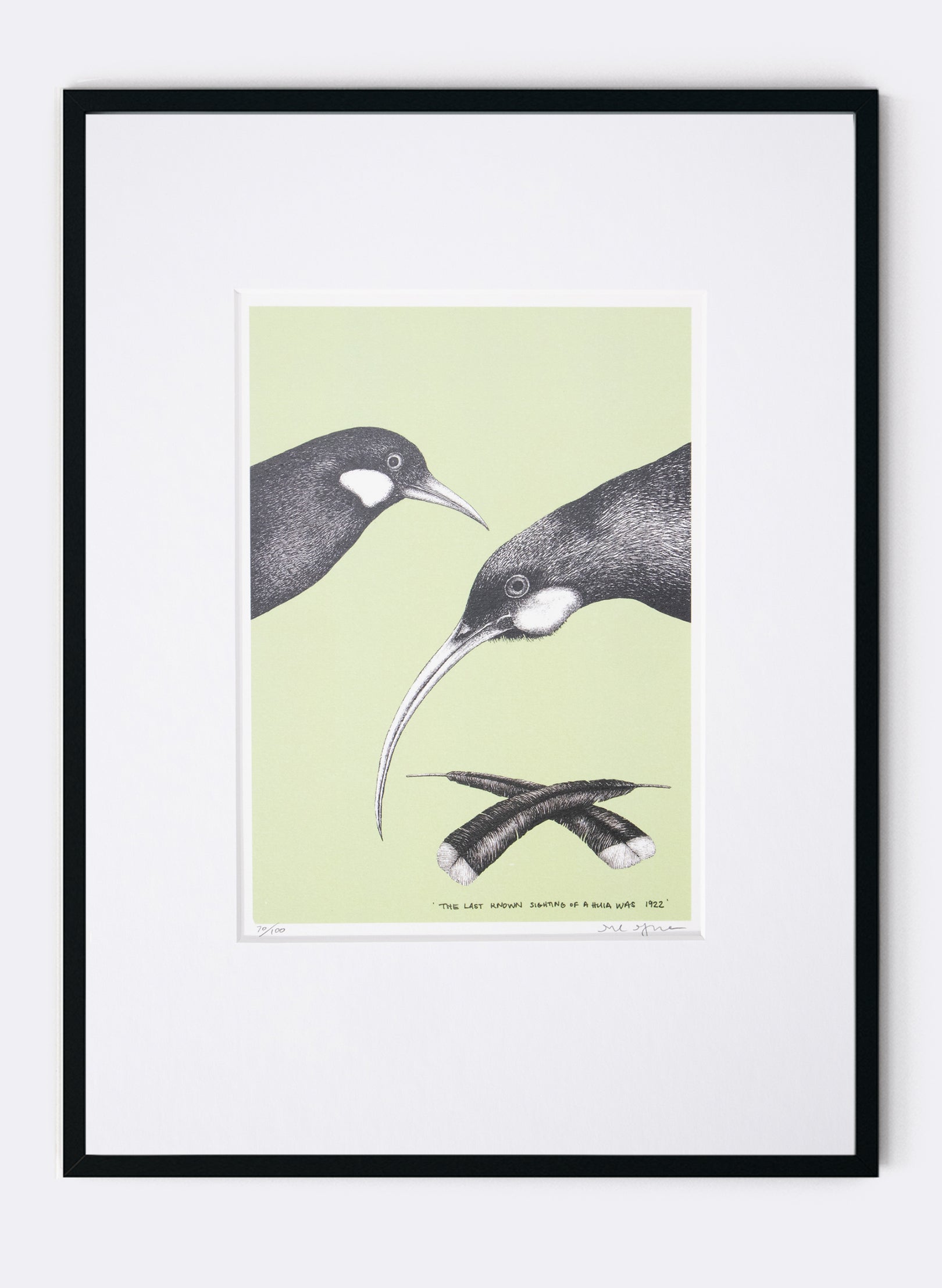 The Last Known Sighting of a Huia (Green) - Digital Print