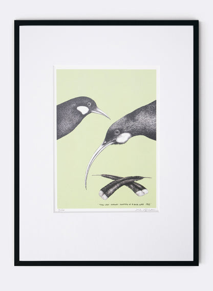 The Last Known Sighting of a Huia (Green) - Digital Print