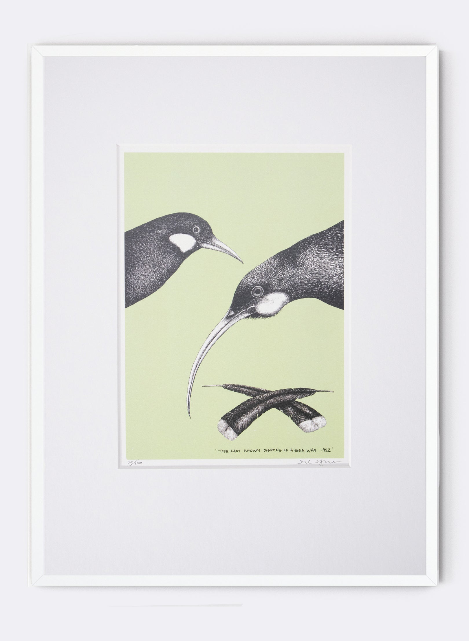 The Last Known Sighting of a Huia (Green) - Digital Print