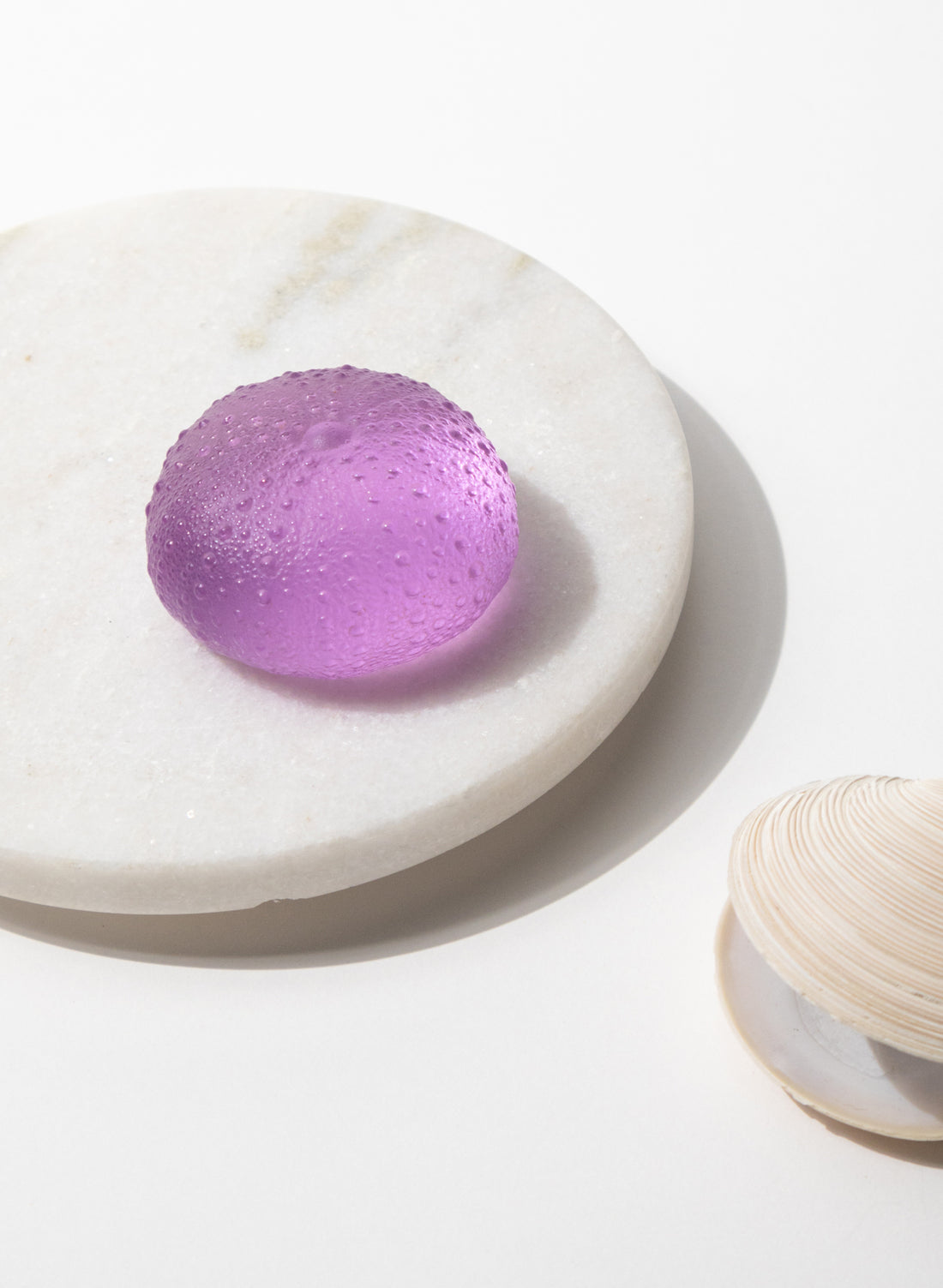 Medium Sea Urchin - Fuchsia