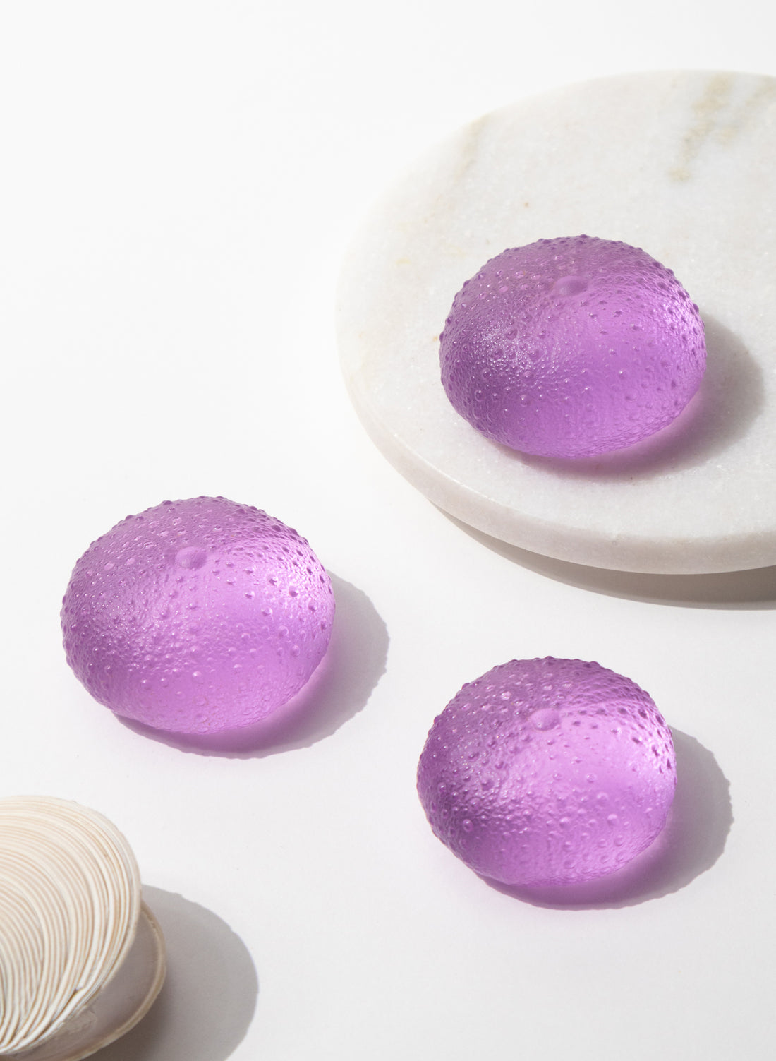 Large Sea Urchin - Fuchsia