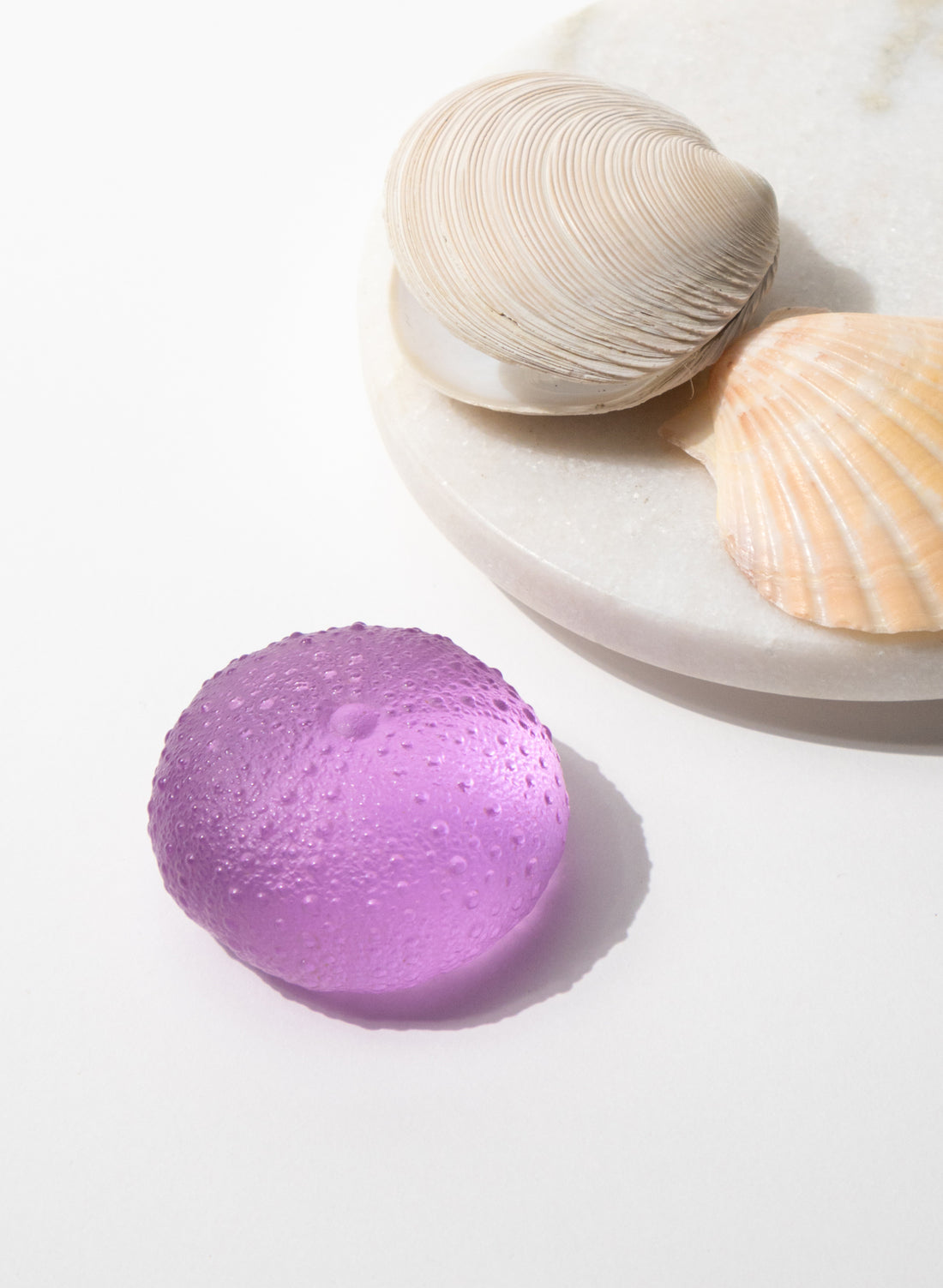 Large Sea Urchin - Fuchsia