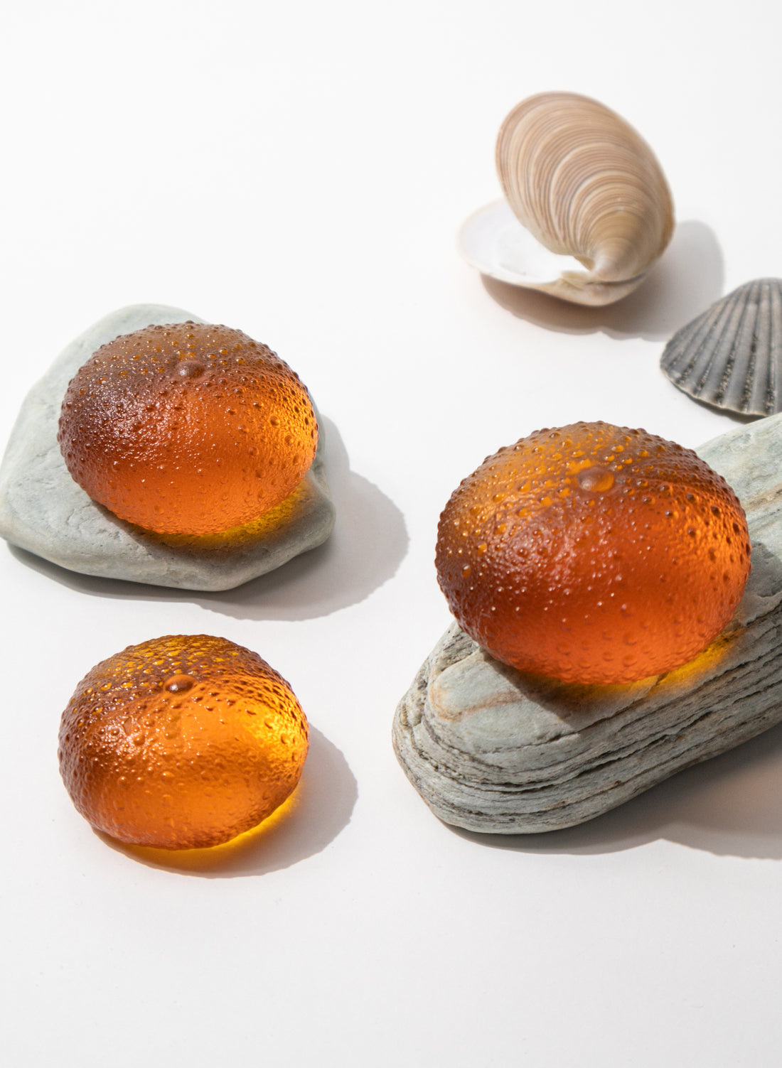 Large Sea Urchin - Orange