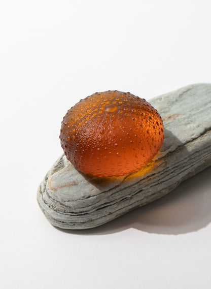 Large Sea Urchin - Orange
