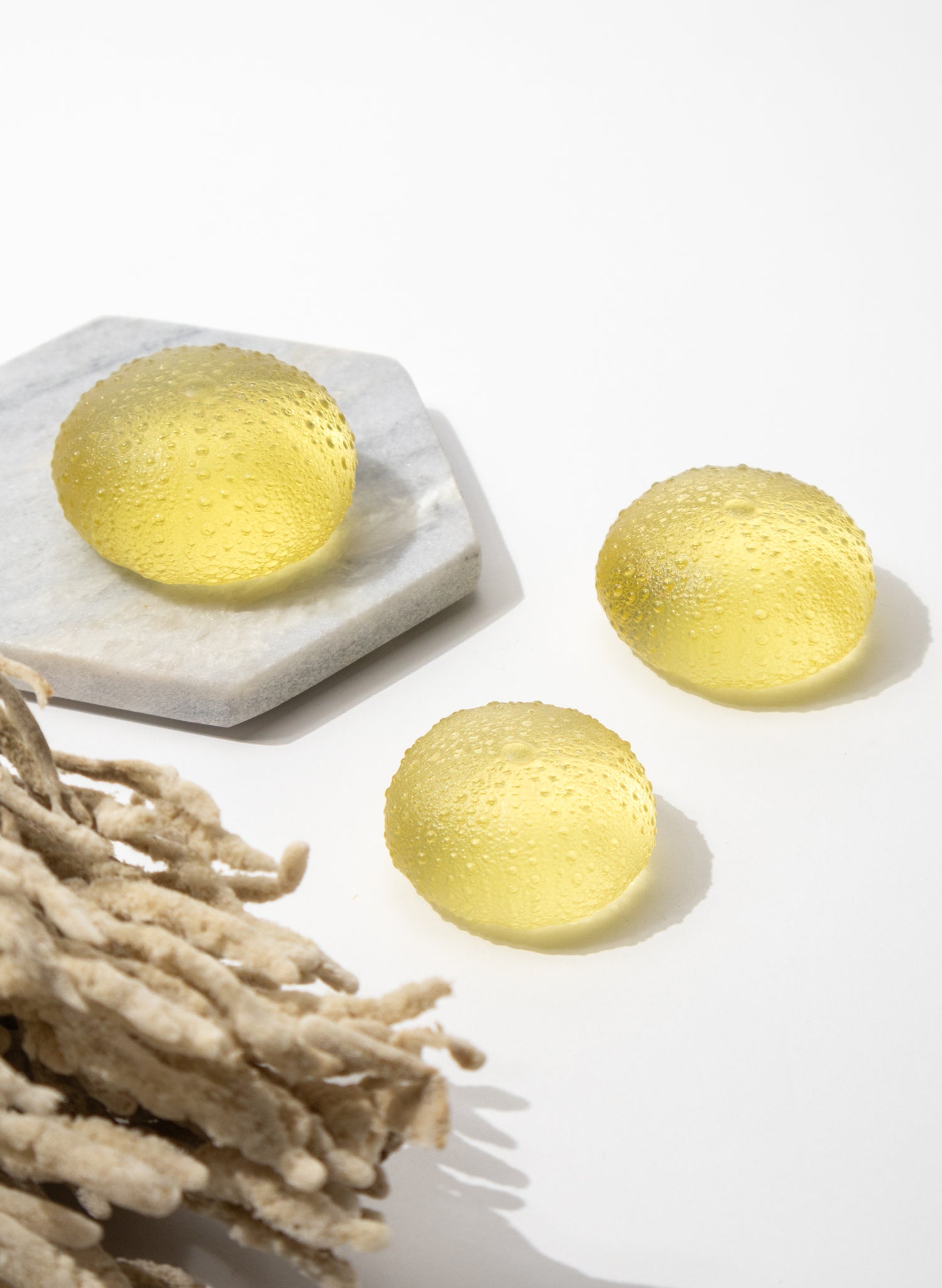Large Sea Urchin - Yellow
