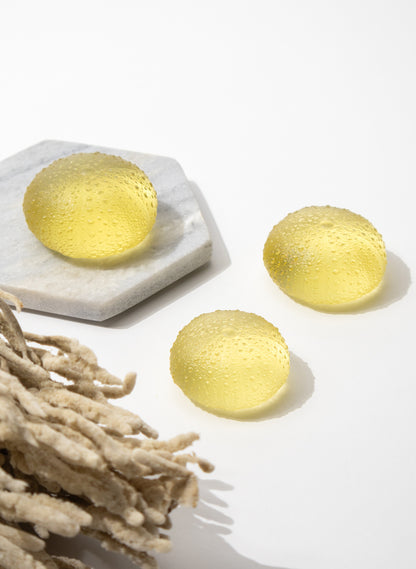 Large Sea Urchin - Yellow