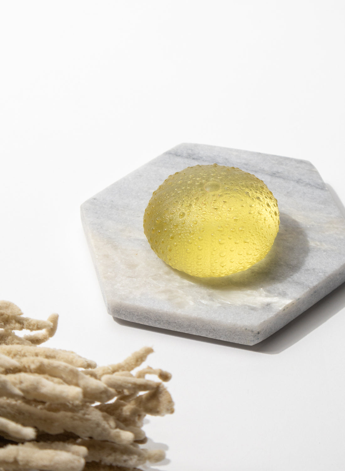 Large Sea Urchin - Yellow