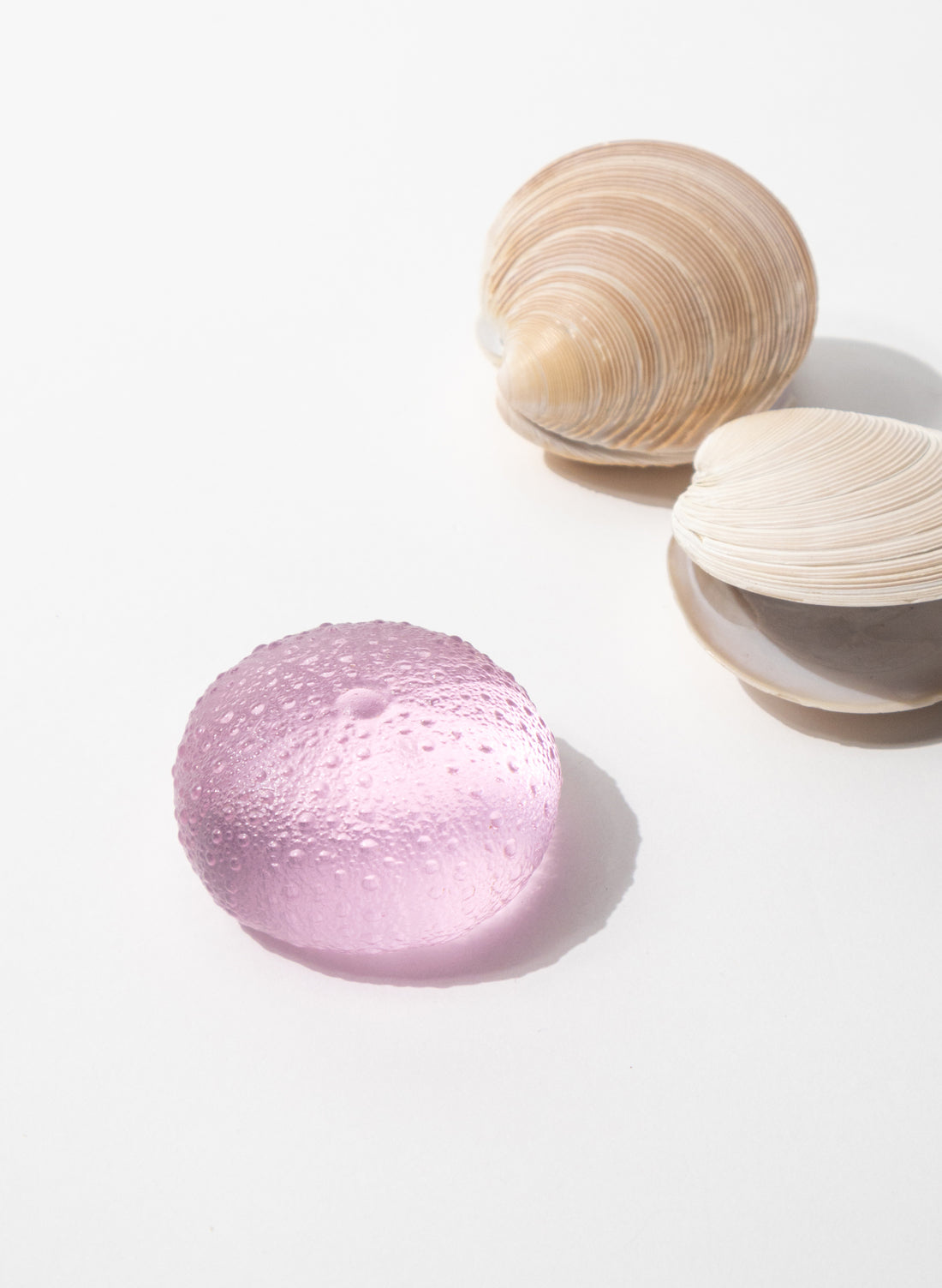 Medium Sea Urchin - Pink