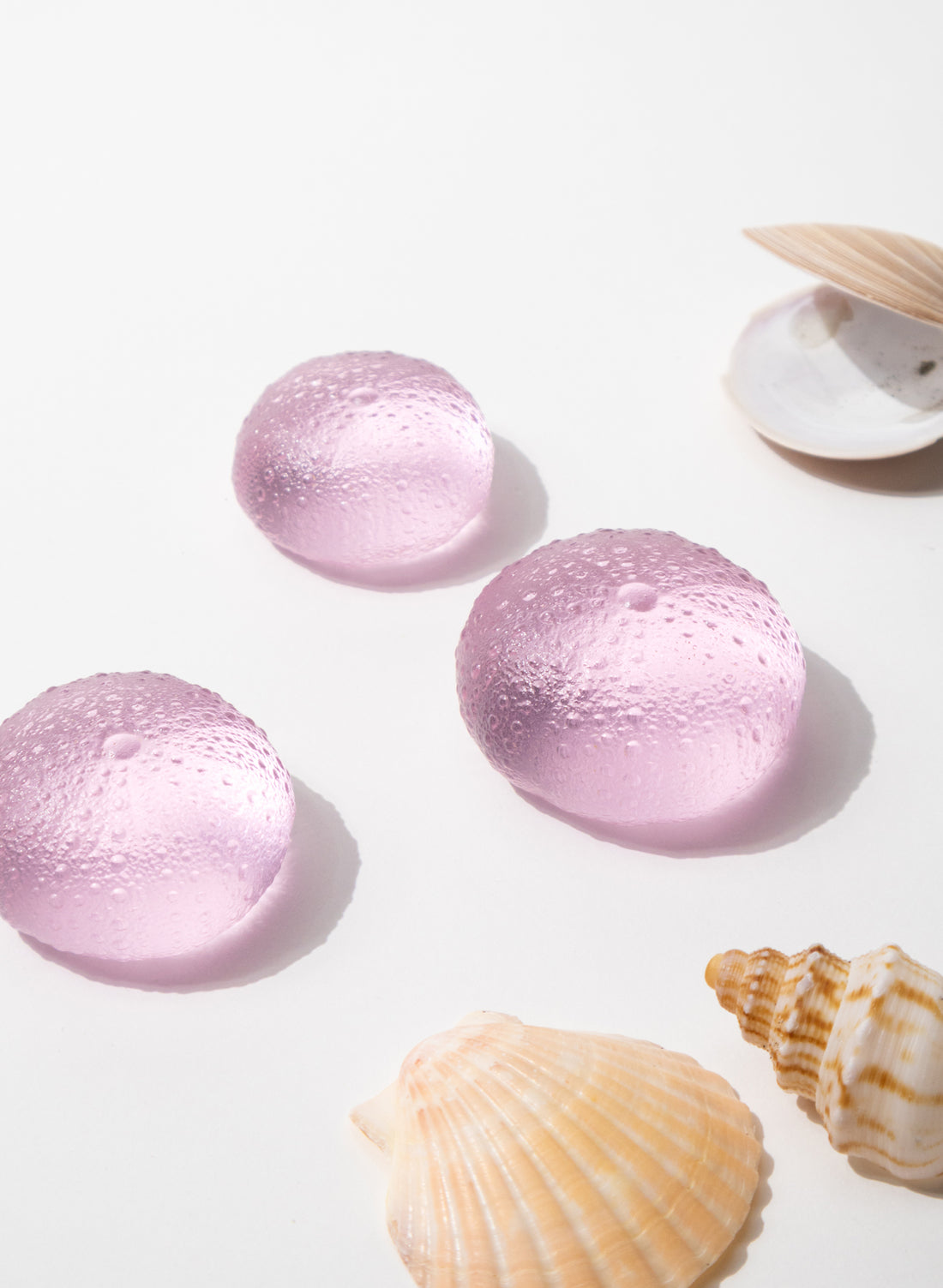 Small Sea Urchin - Pink