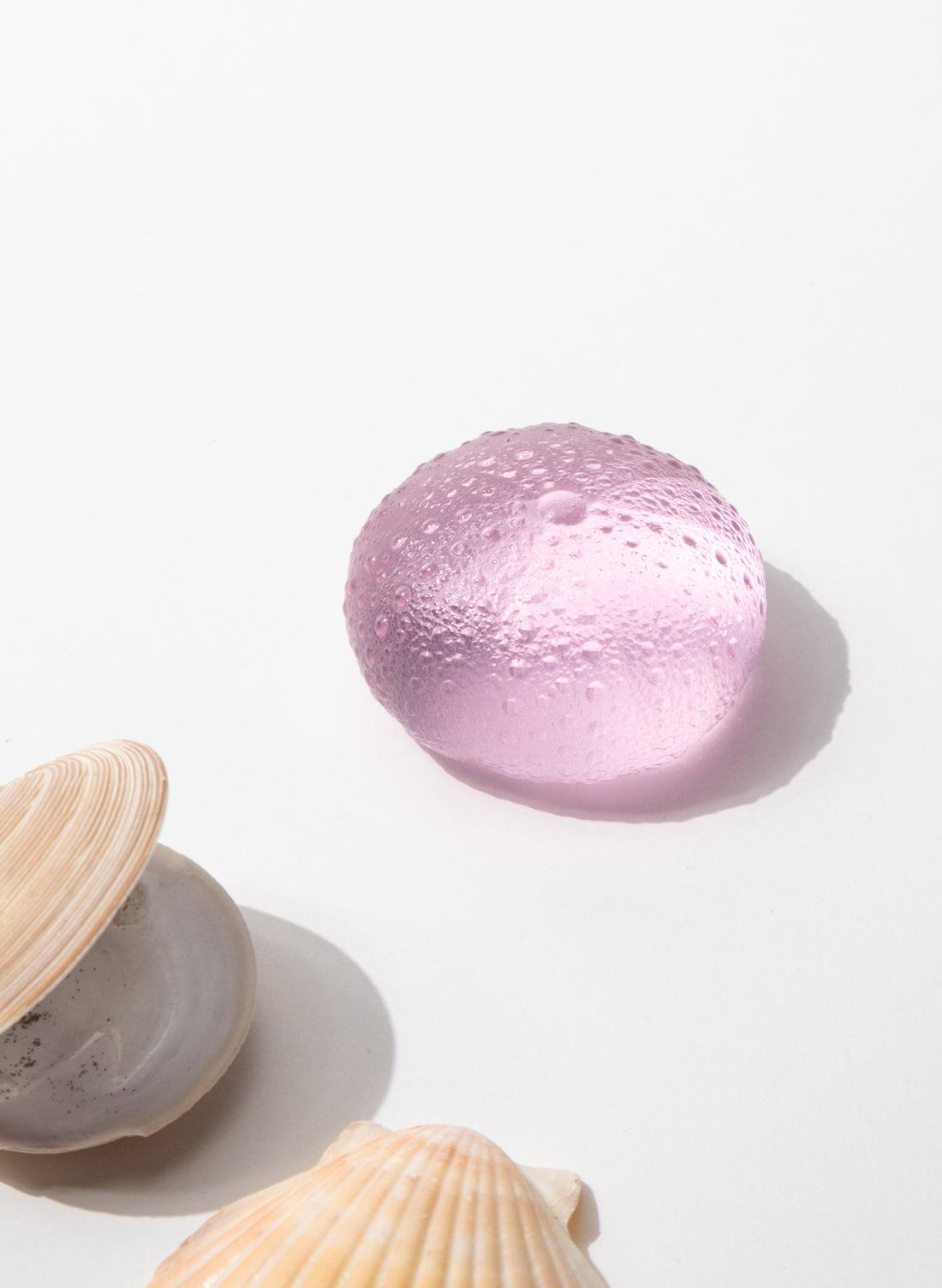 Large Sea Urchin - Pink