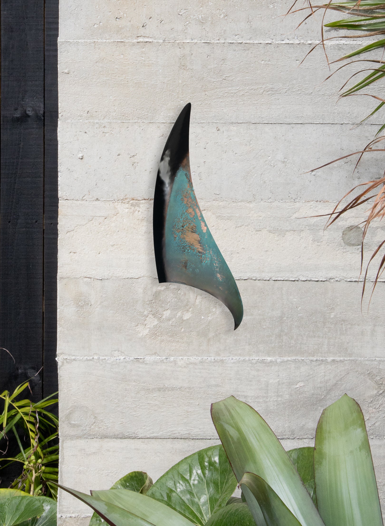 Orca Fin 