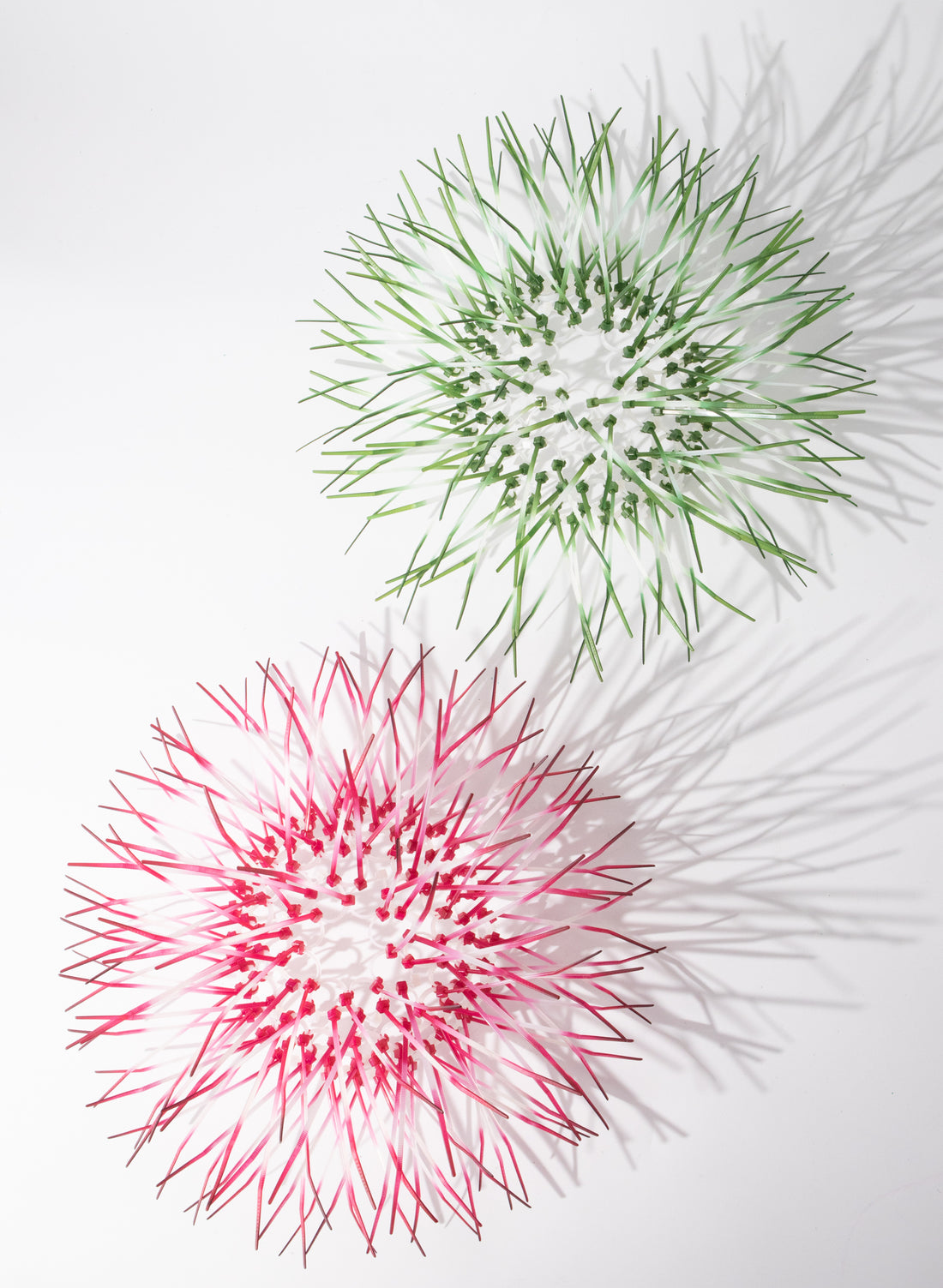 Mini Kina - Fuschia Pink
