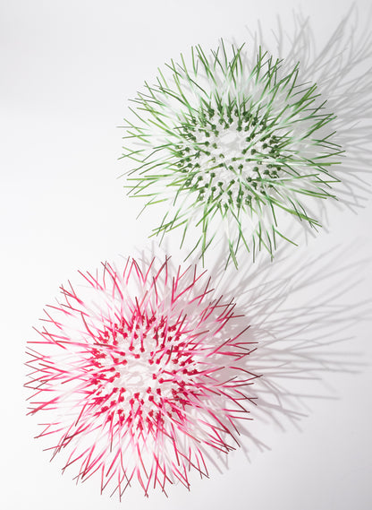 Mini Kina - Fuschia Pink