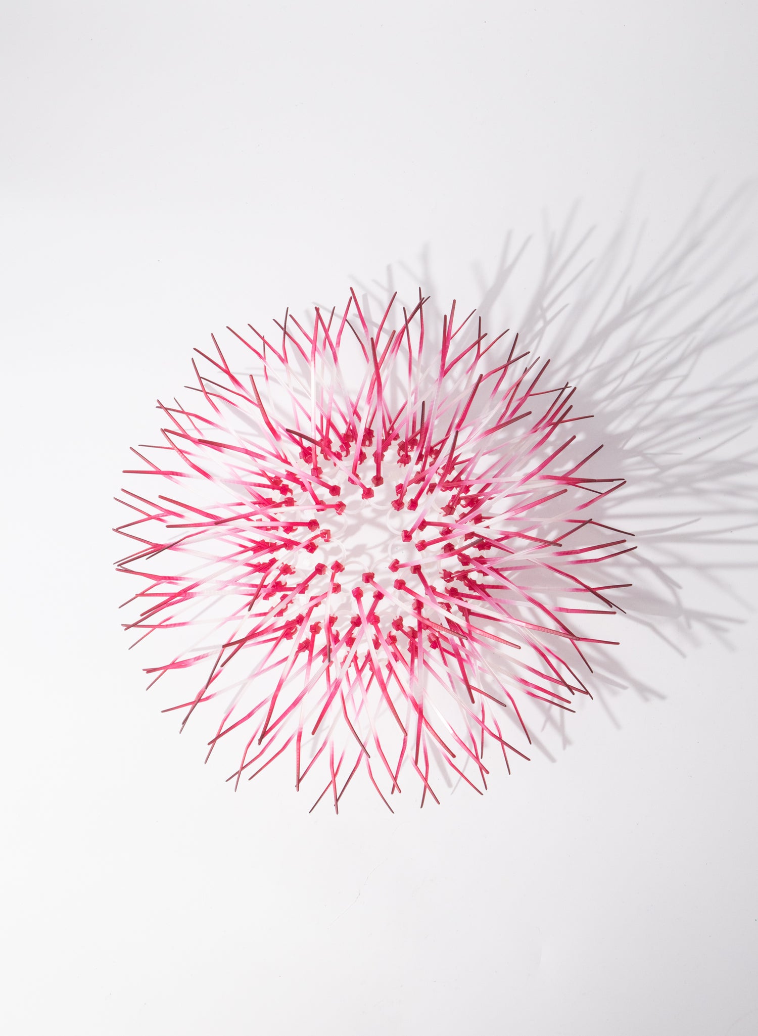 Mini Kina - Fuschia Pink