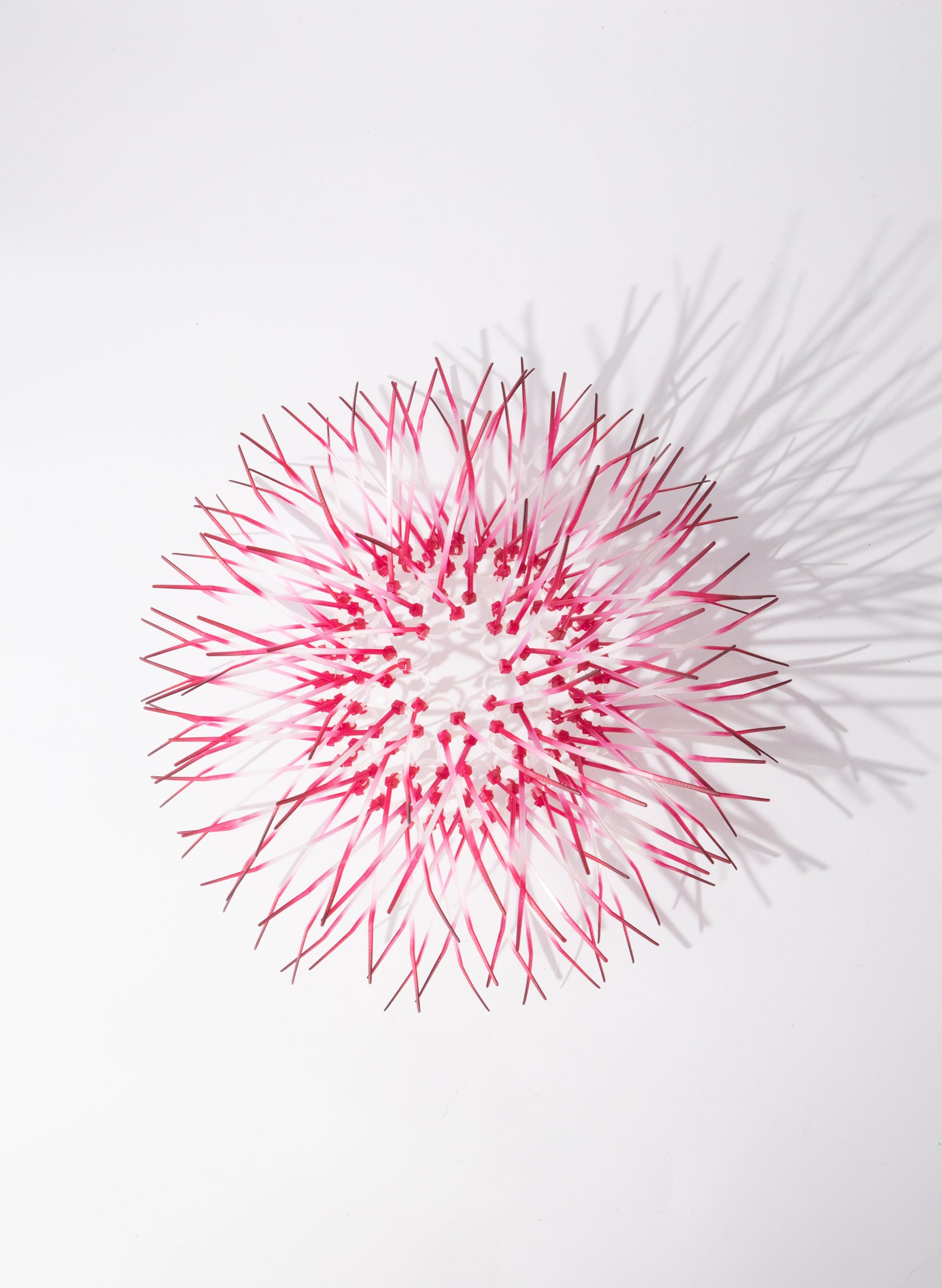 Mini Kina - Fuschia Pink