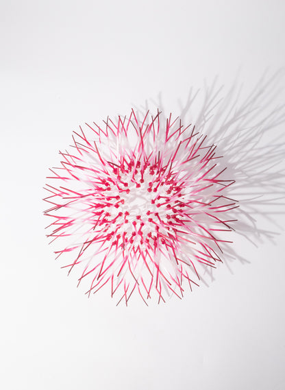 Mini Kina - Fuschia Pink