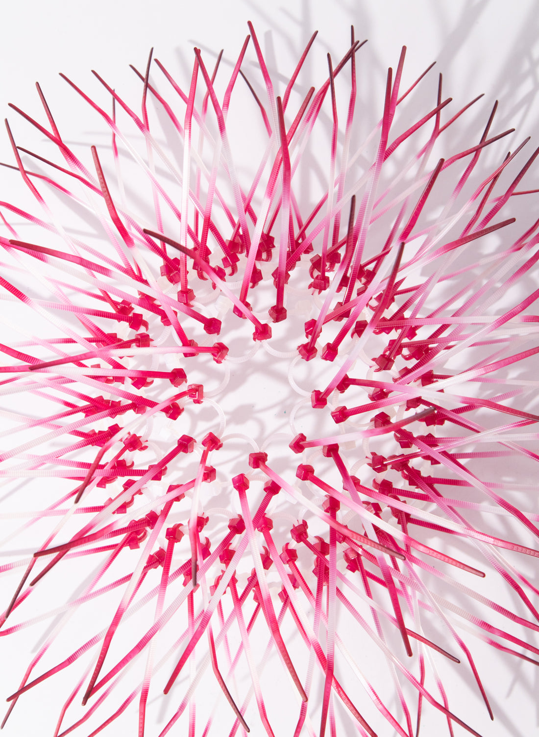 Mini Kina - Fuschia Pink