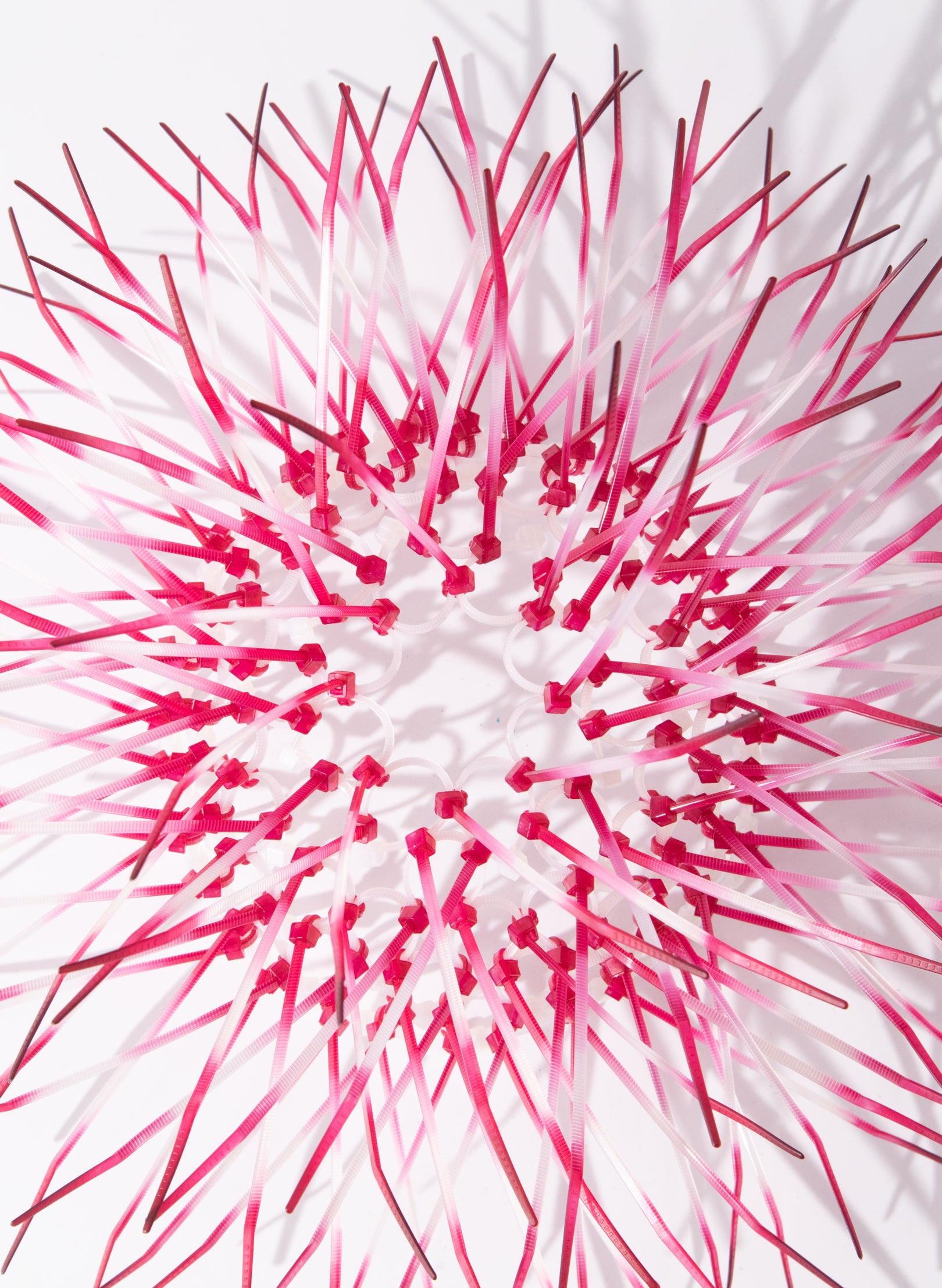 Mini Kina - Fuschia Pink