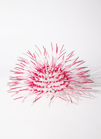 Mini Kina - Fuschia Pink