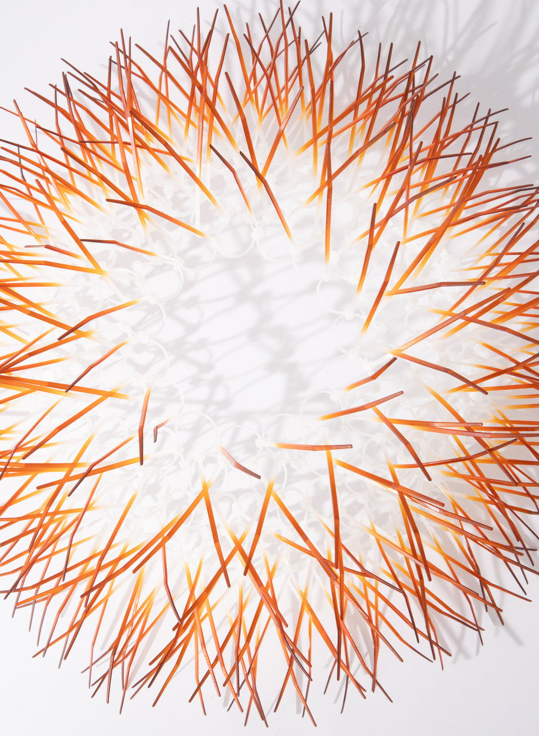 Medium Kina - Burnt Orange