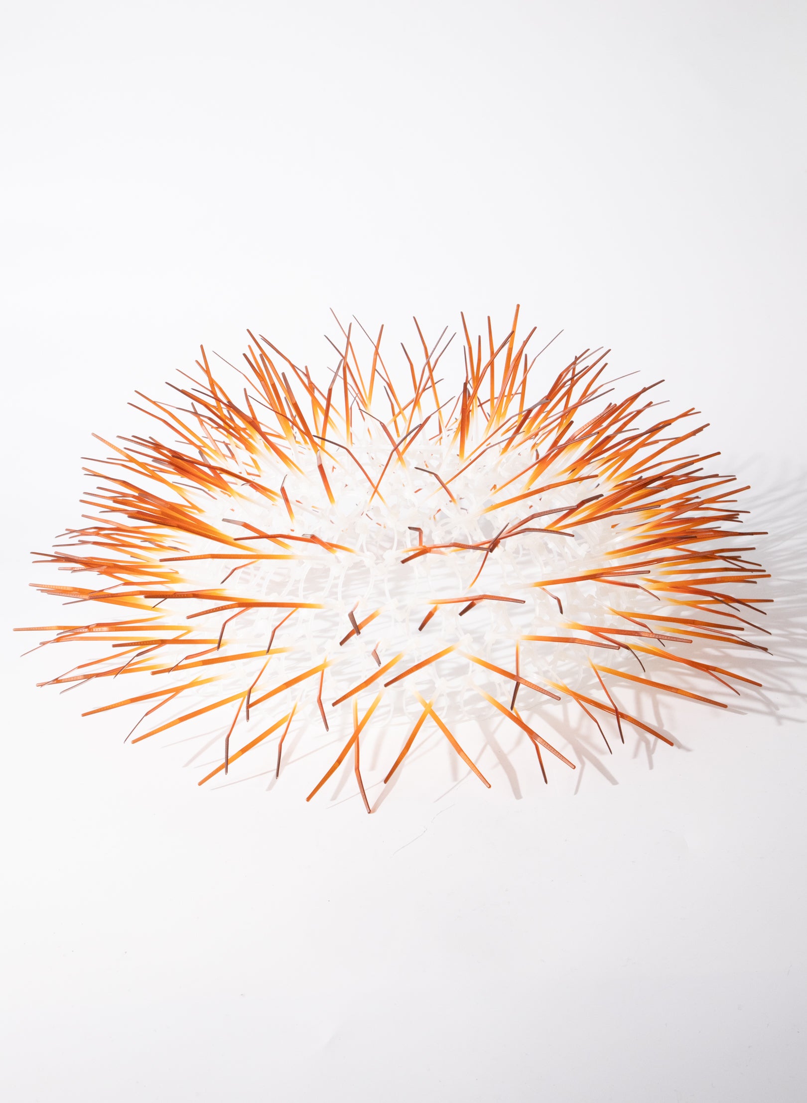 Medium Kina - Burnt Orange