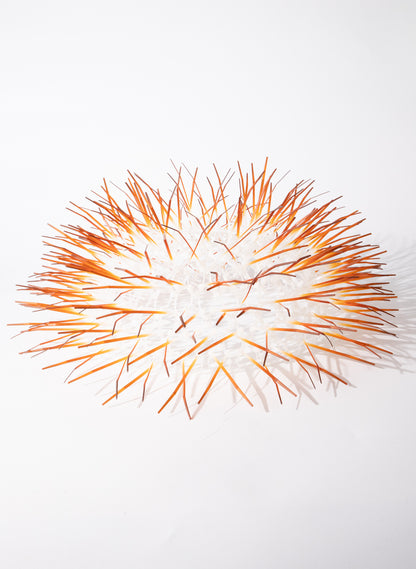 Medium Kina - Burnt Orange