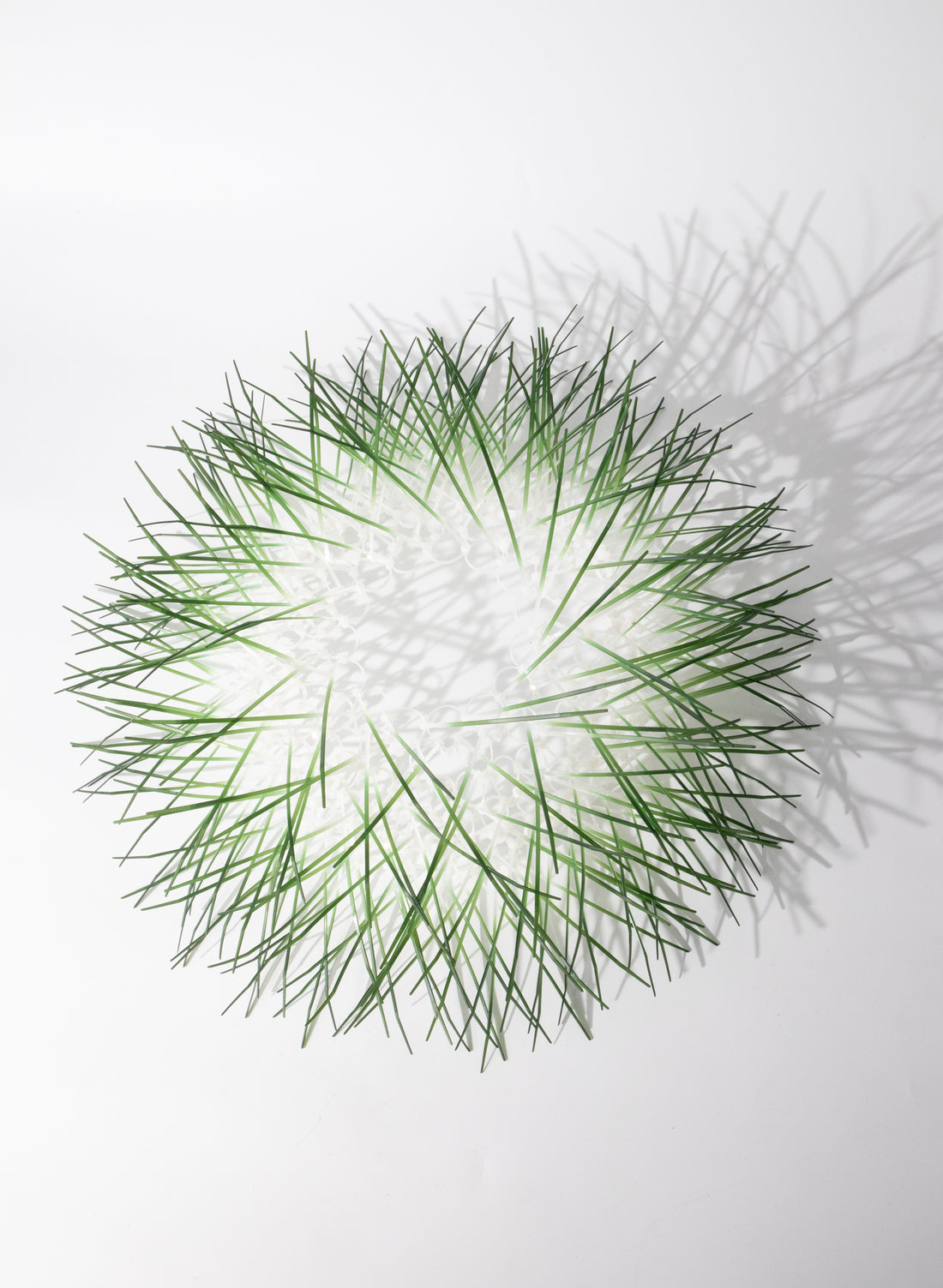 Large Kina - Green