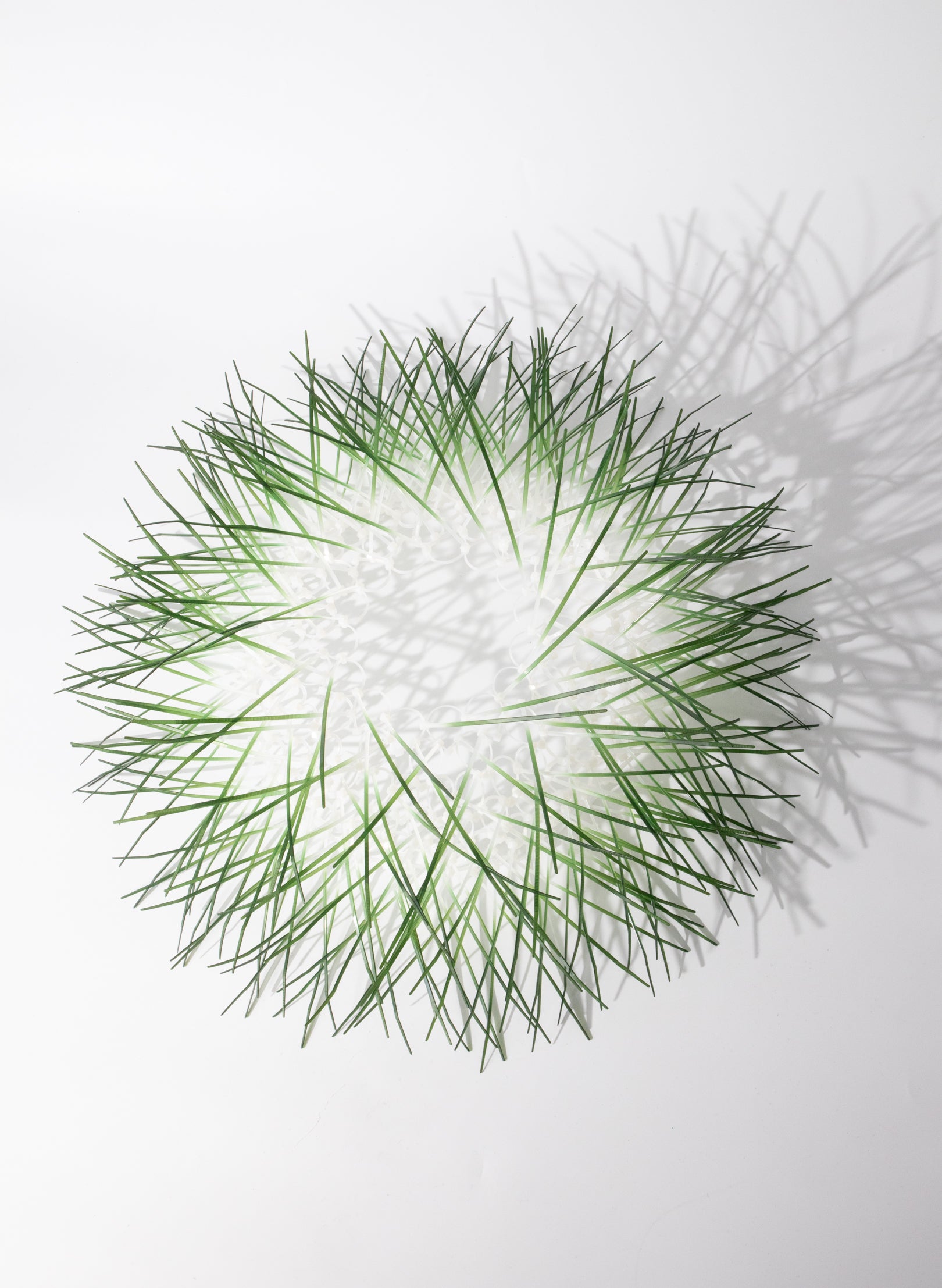 Large Kina - Green