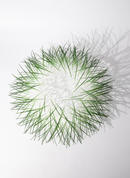 Large Kina - Green