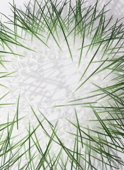 Large Kina - Green