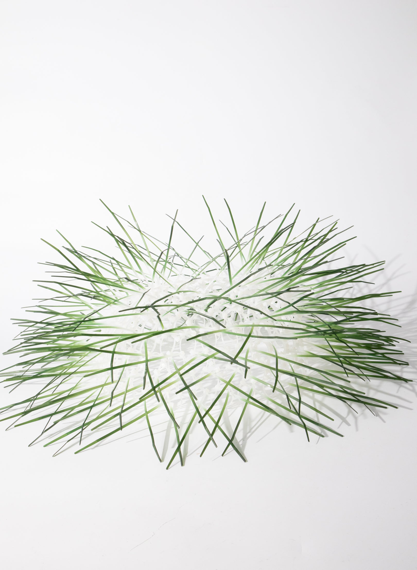 Large Kina - Green