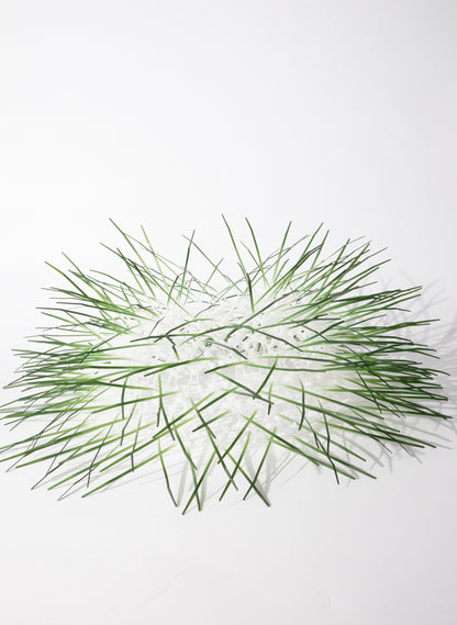 Large Kina - Green