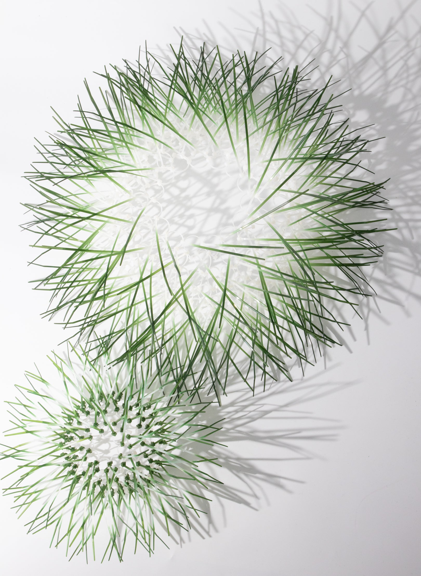 Large Kina - Green