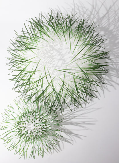 Large Kina - Green